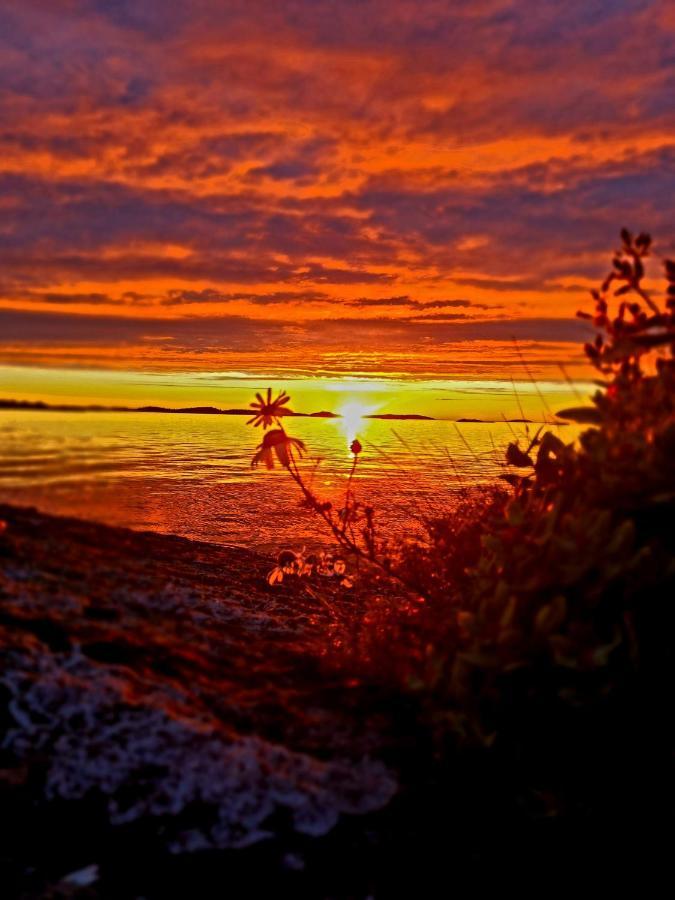 Laukvik Senja Hotel Botnhamn Eksteriør billede
