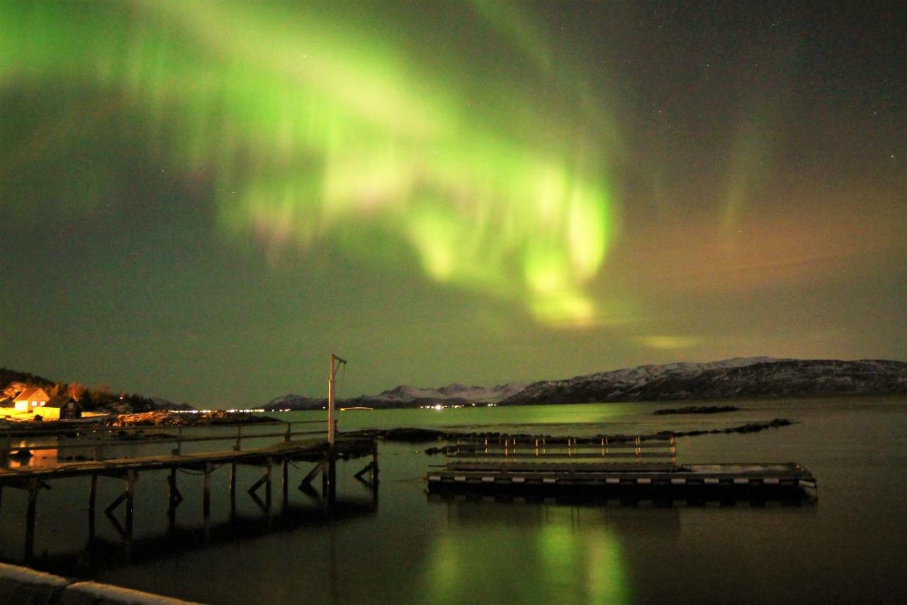 Laukvik Senja Hotel Botnhamn Eksteriør billede